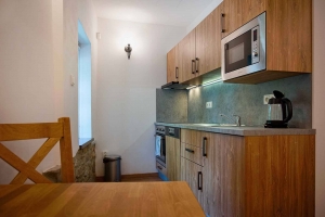 Double studio with kitchenette