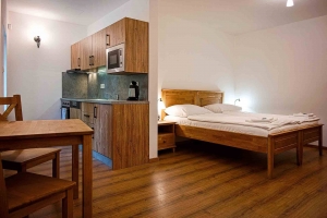 Double studio with kitchenette