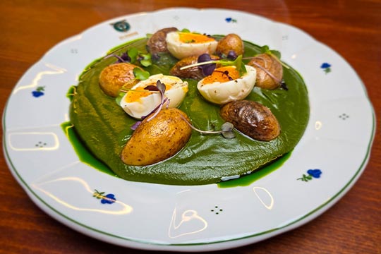 polední menu na Zámku Račice